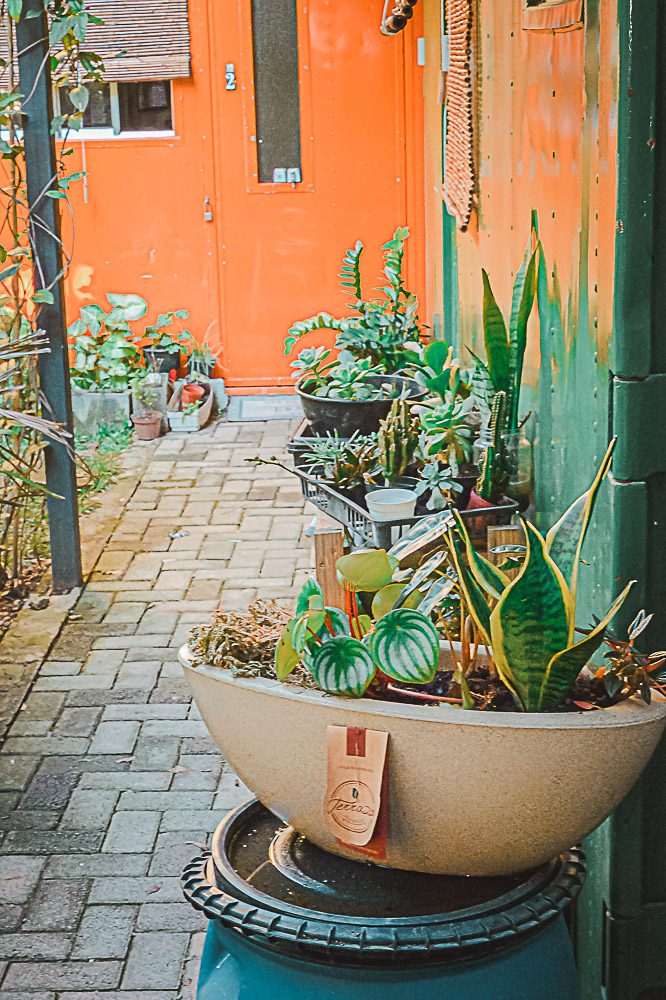 Porta laranja do container cercada de vasos de plantas